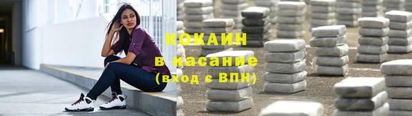 a pvp Гусев