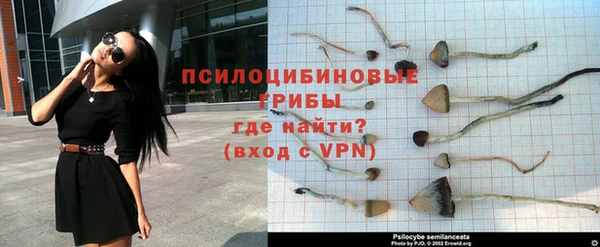 бутират Гусиноозёрск
