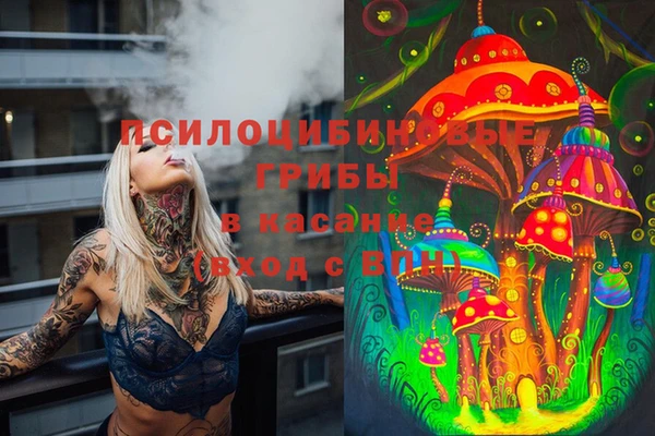 a pvp Гусев