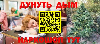 спиды Тара