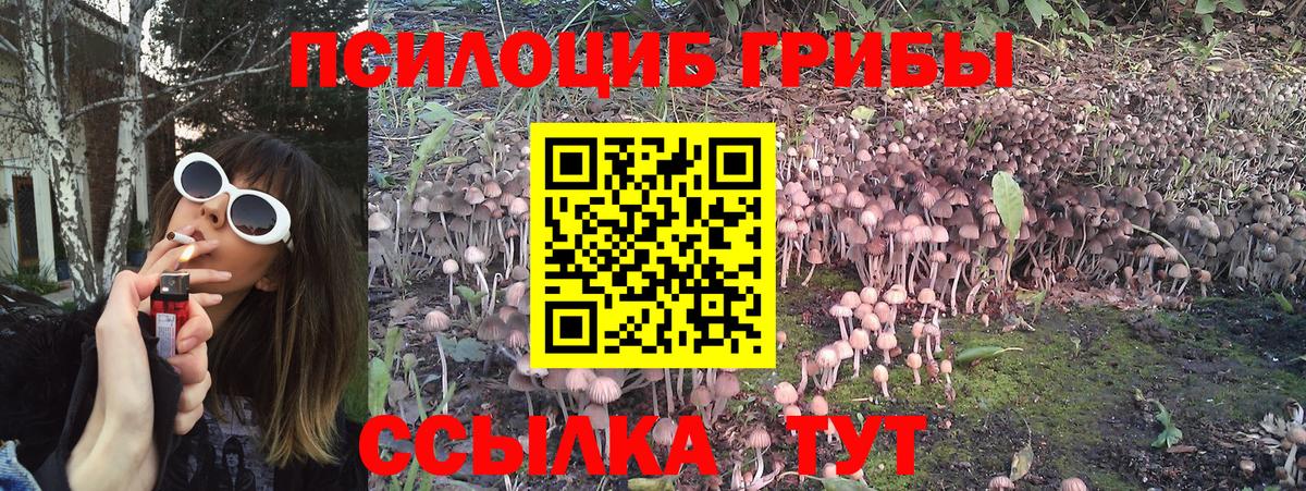 Галлюциногенные грибы ЛСД  Вход с VPN  Новошахтинск 